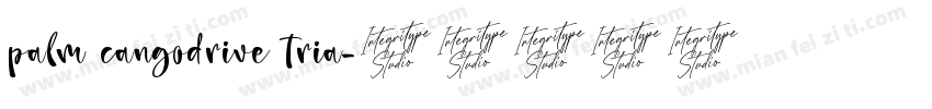 palm cangodrive tria字体转换